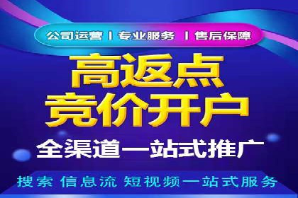 百度推广公司案例分享：如何通过百度推广实现持续增长
