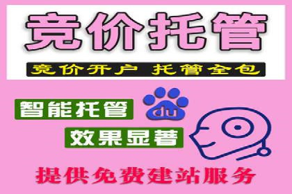 SEO与SEM优化案例：打造企业互联网品牌